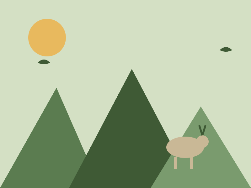 Nature and Wildlife