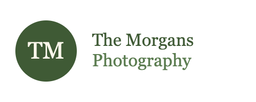 Logo placeholder